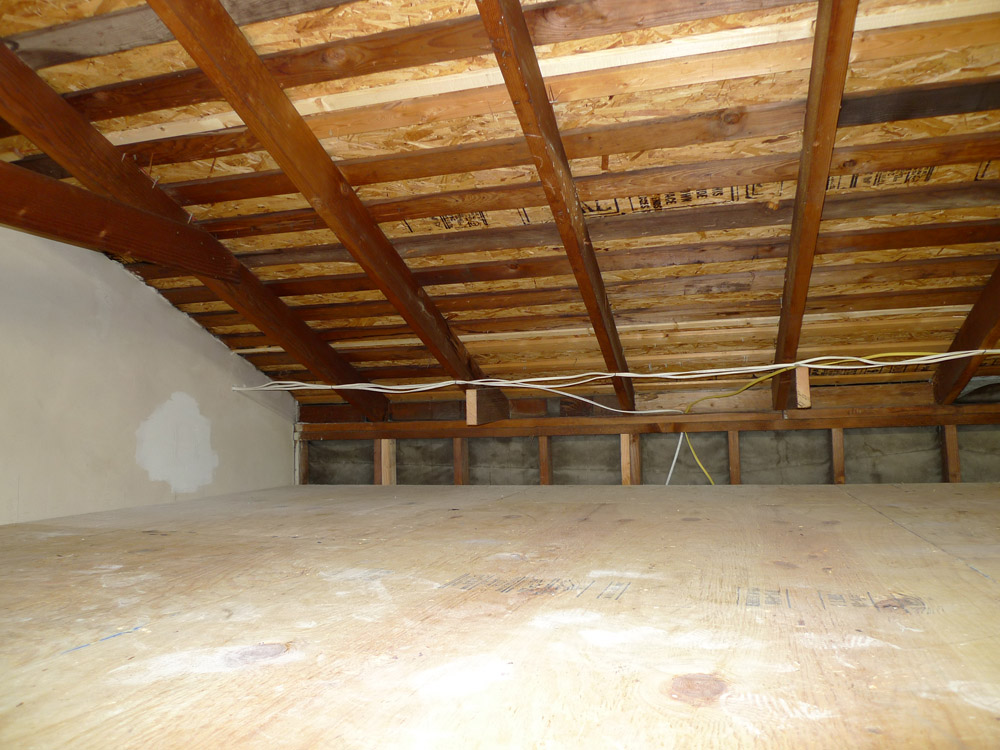 P1000259